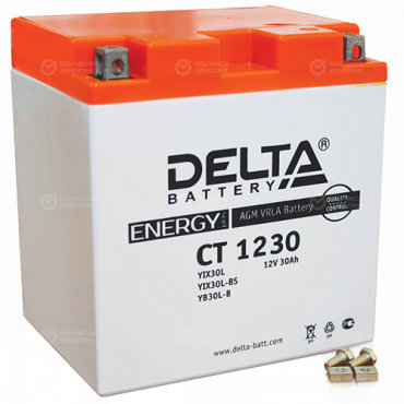 Мотоаккумулятор Delta 1230 AGM YTX30L 30Ач, обратная полярность