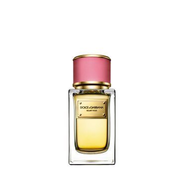 DOLCE&GABBANA Velvet Collection Rose