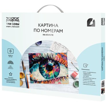 Картина по номерам на холсте Три Совы Волшебство взгляда, 40 х 50, с акриловыми красками и кистями