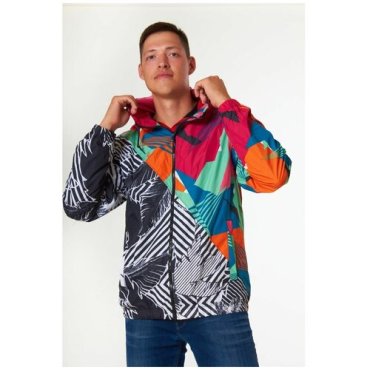 Ветровка мужская Volcom