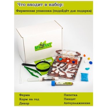 Муравьиная ферма формикарий комплект Standart, цвет «Дерево»