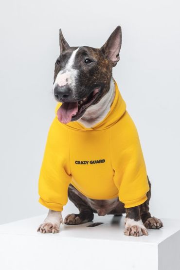 Худи для собак Shaggy Dog