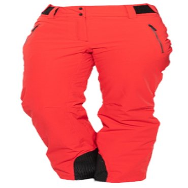 Штаны горнолыжные Head 23-24 Rebels Pants W RD 29990₽
