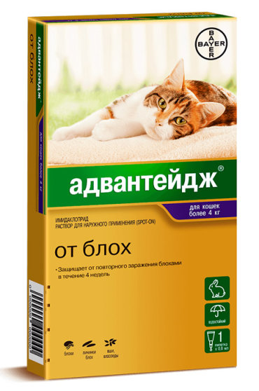Advantage 80 для кошек весом от 4 кг от блох и вшей капли на холку 1 пипетка 08 мл 320₽