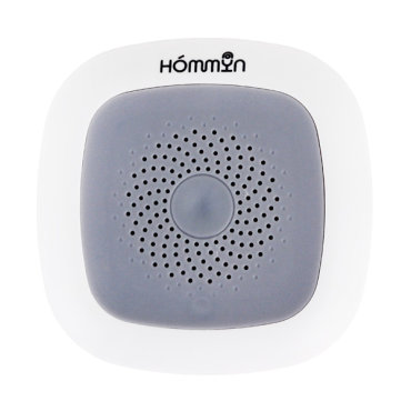 Hommyn TS-20-Z 2445₽