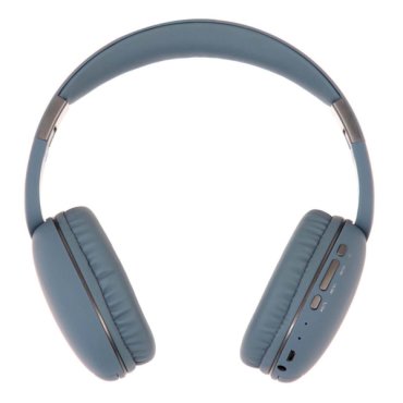 Leef MW-SW-B03 Blue 1999₽
