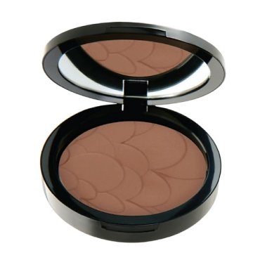 PASTEL Пудра для лица PROFASHION ADVANCED POWDER 688₽