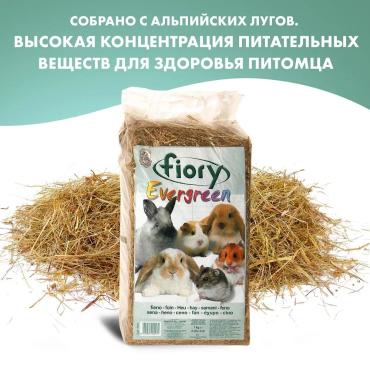 Сено Fiory Evergreen 1кг30л 416₽