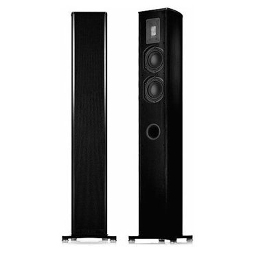 Активная напольная акустика Piega Premium 501 Wireless AB 599000₽