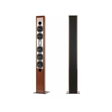 Напольная акустика Piega Premium 7 Coated Golden Oak Mattdecoral alublack alublack 634700₽