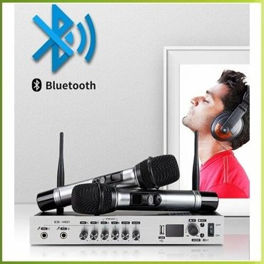 EALSEM ES-HD1 - домашняя караоке-радиосистема USB Bluetooth Line InOut запись на флэш накопитель ЭХО 9000₽