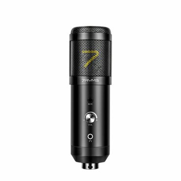 Микрофон 7Ryms SR-AU01-K2 студийный с пантографом USB 10390₽