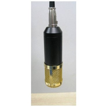 Микрофон конденсаторный LTR JG-20 2990₽