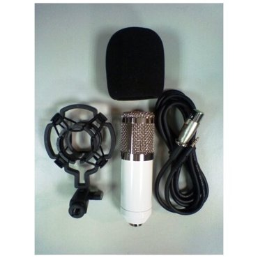 Микрофон конденсаторный LTR JG-28 3995₽