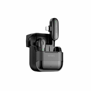 Микрофон Wiwu Wi-WM001 Type-C Black 6976195092318 3414₽