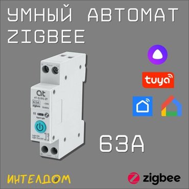 Умный Zigbee автоматический выключатель 63А 4087₽