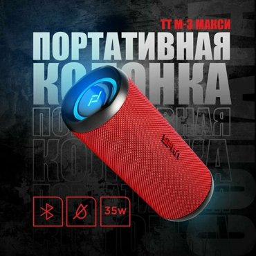 Портативная акустическая система урал ТТ М-3 макси К 12183₽