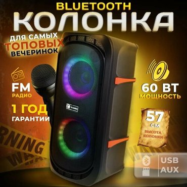 Портативная аудиосистема TAKARA PARTY 602 музыкальный центр колонка 60Вт минисистема 11329₽