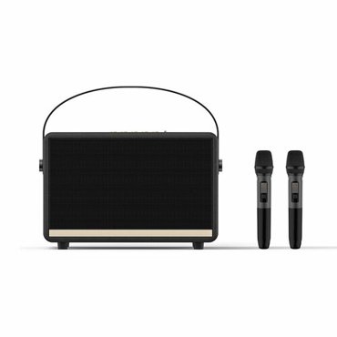 Портативный ретро Bluetooth аудио для караоке и уличных танцев 13164₽