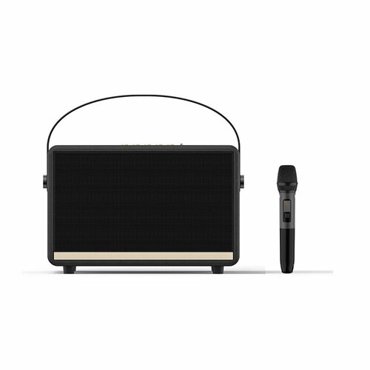 Портативный ретро Bluetooth аудио для караоке и уличных танцев 11755₽