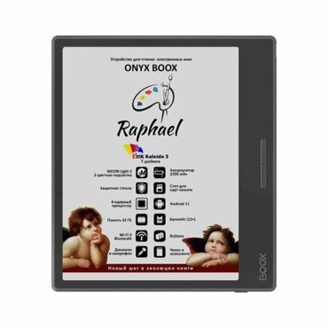 Электронная книга Onyx Boox Raphael Black 6949710309598 32504₽