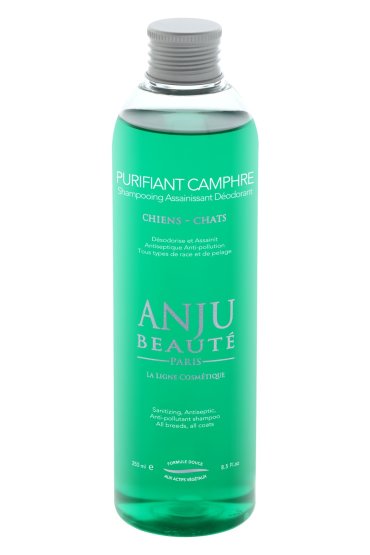 Anju Beaute шампунь Очищающий и антисептический камфора и корень лопуха 260 г 1083₽
