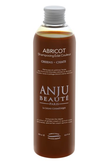 Anju Beaute шампунь Переливы кремового золотистого и персикового окрасов 15 260 г 1434₽
