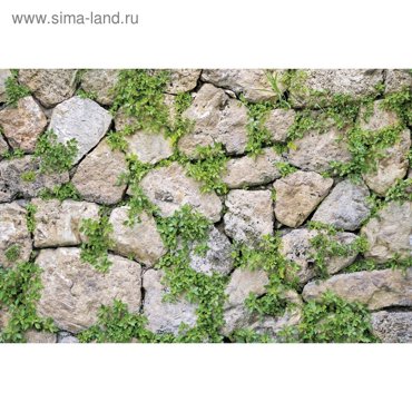 Фотобаннер 250 150 см с фотопечатью люверсы шаг 1 м Каменная стена 1820₽
