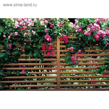 Фотобаннер 250 150 см с фотопечатью люверсы шаг 1 м Полоса 1820₽
