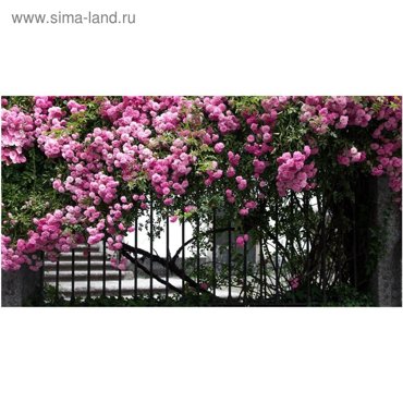 Фотобаннер 250 150 см с фотопечатью люверсы шаг 1 м Терраса 1820₽