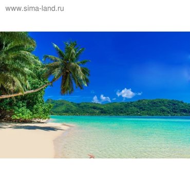 Фотобаннер 250 200 см с фотопечатью люверсы шаг 1 м Пляж 2360₽
