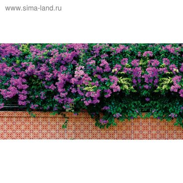 Фотобаннер 300 160 см с фотопечатью люверсы шаг 1 м Фиолетовые цветы 2280₽