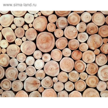 Фотобаннер 300 200 см с фотопечатью люверсы шаг 1 м Поленница 2800₽