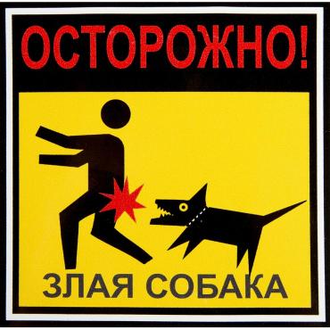 Наклейка Осторожно злая собака 100х100 мм полиэстер 40₽