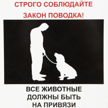 Табличка 20 20 Животные на привязи 23₽