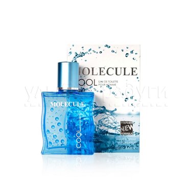 Мужская туалетная вода Парфюмерия XXI века Molecule Cool 100мл 389₽