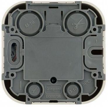 Розетка Legrand Quteo RJ11 слоновая кость 782244 фото 3 265₽