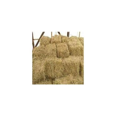 Солома 18 кг в тюке ЭкоРай свежая заготовка 3352₽
