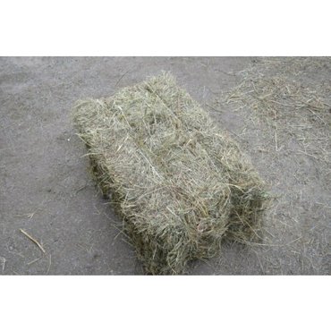 Солома овсяная из Медведково в тюке 20 кг ЭкоСтандарт 2350₽