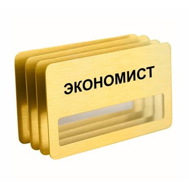 Бейдж Экономист на магните с окошком 4 шт золотого цвета 950₽