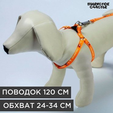 Комплект Любимчик шлейка 24-34 см поводок 120х1 см 556₽