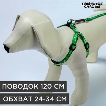 Комплект Пора гулять шлейка 24-34 см поводок 120х1 см 557₽