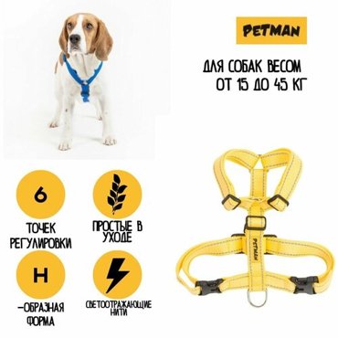 Регулируемая светоотражающая шлейка для собак до 40 кг 25 мм 1740₽