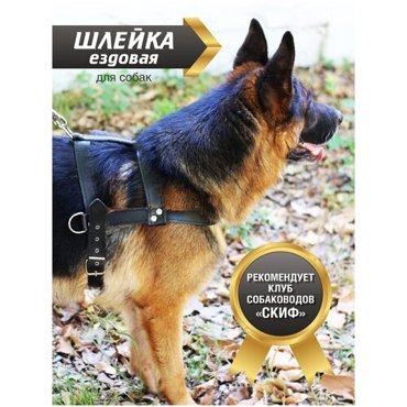 Шлейка для собак ApexMak Ездовая-тяговая Шлейка прогулочная Шлейка для дрессировки 1250₽