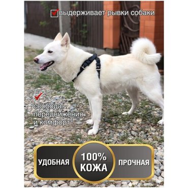 Шлейка для собак средних и мелких пород 856₽