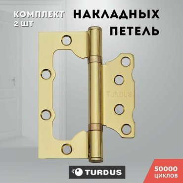 Петли для дверей накладные золото блестящее TURDUS 1007520 2ВВ PB 386₽