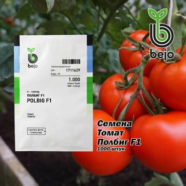 Семена Bejo Томат Полбиг F1 1000шт 1895₽