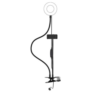 Кольцевая лампа Ritmix RRL-091 9см USB 3 цвета 24 светодиода прищепка пульт держате 1213₽