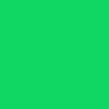 Фон FST 1010 272x11 м Chromagreen 5990₽