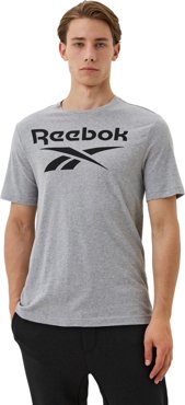 Футболка мужская Reebok Identity Stacked Logo T-Shirt серая 2XL 2699₽